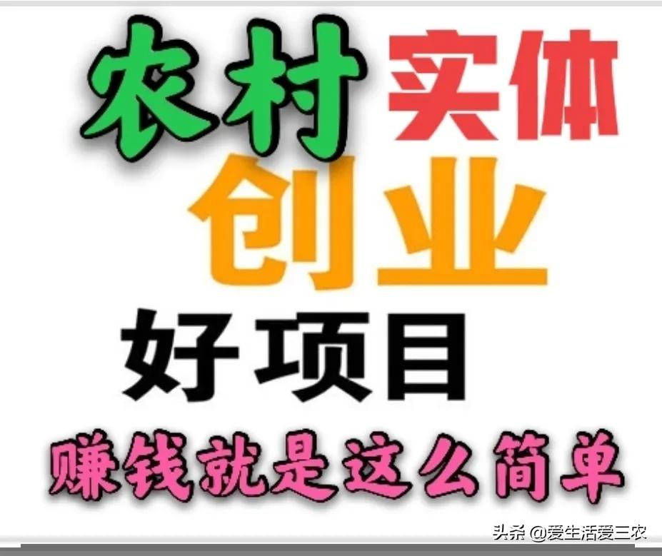 目前很火爆的生意有哪些？这五个项目值得推荐，快来学学吧