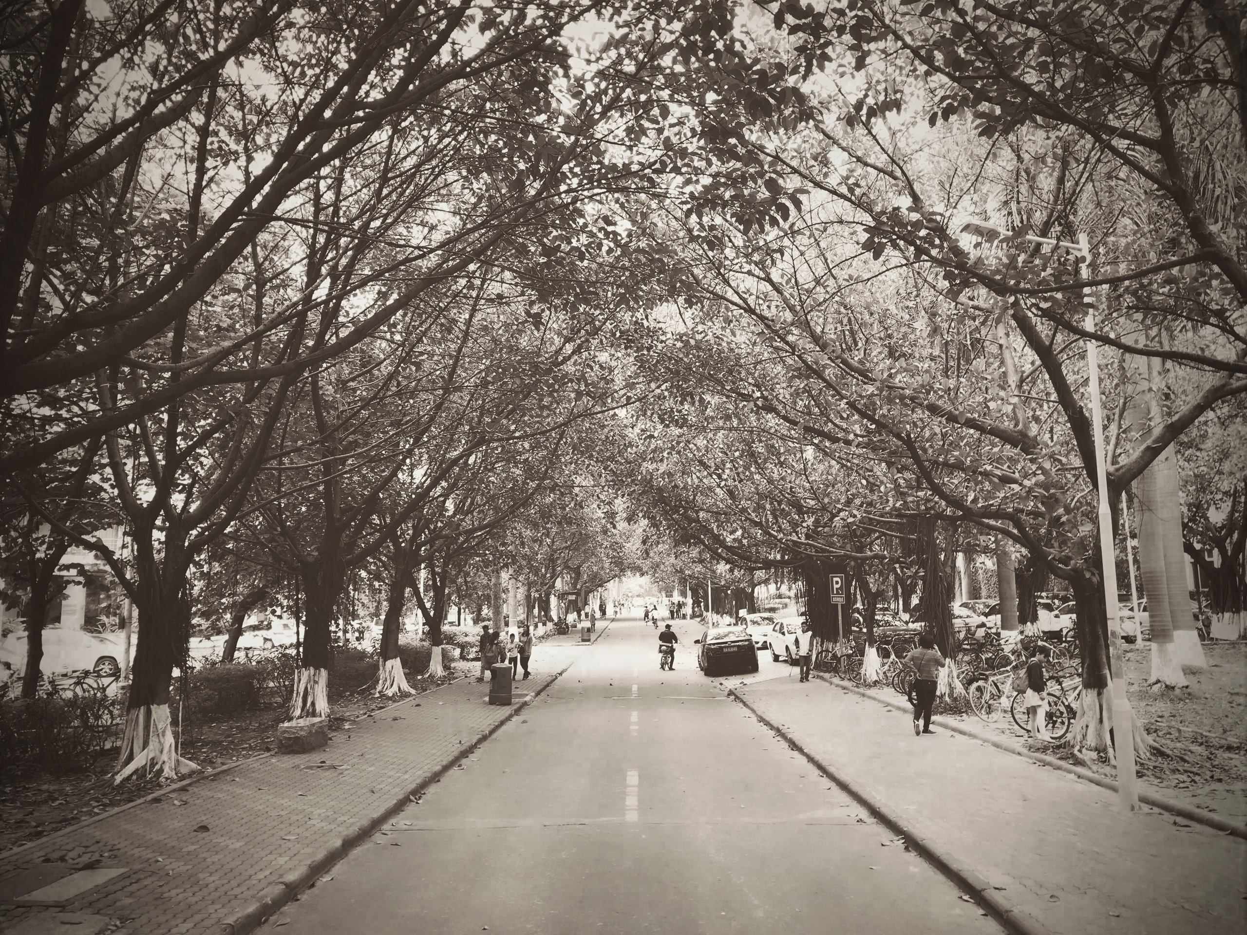 学科实力最高第1，最低第4，这11所大学能入选下次双一流吗？