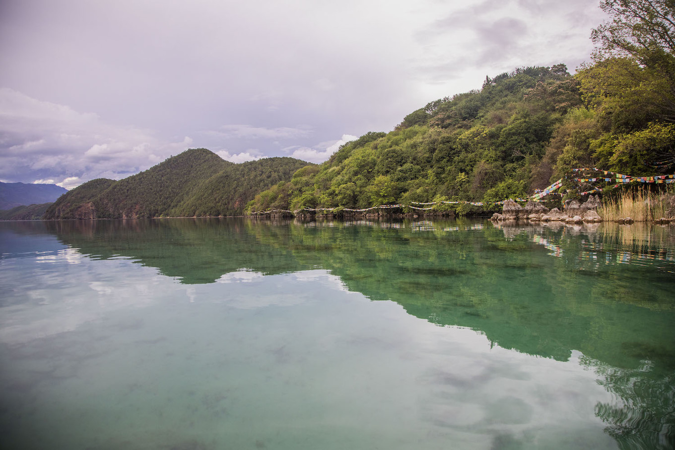 从丽江到泸沽湖，水性杨花开满六月天