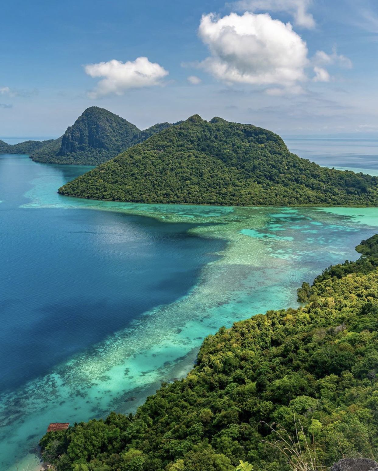 马来西亚特产 马来西亚必买清单特产-小螳螂百科网