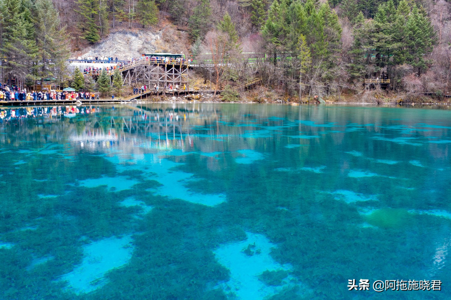 “此景只应天上有”，为之沉醉的九寨沟