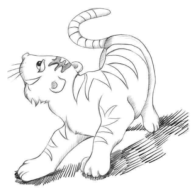 不同种类动物的绘制:分步骤讲解老虎动漫画法,喜欢画动漫来临摹