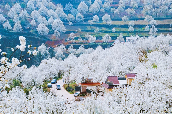 黄石东方山梨花谷图片