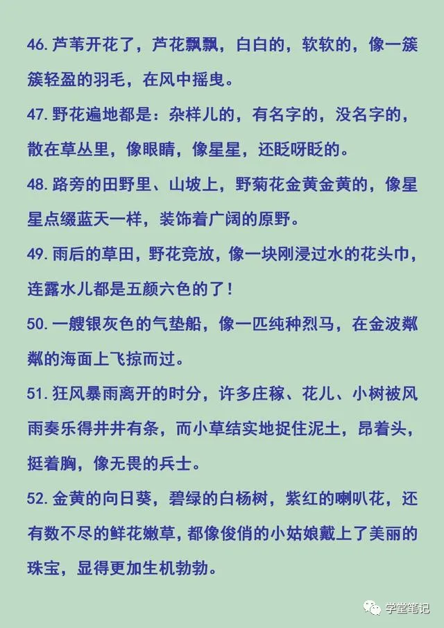 清华学霸妈妈整理：常用的排比句、比喻句、夸张句、拟人句，珍藏