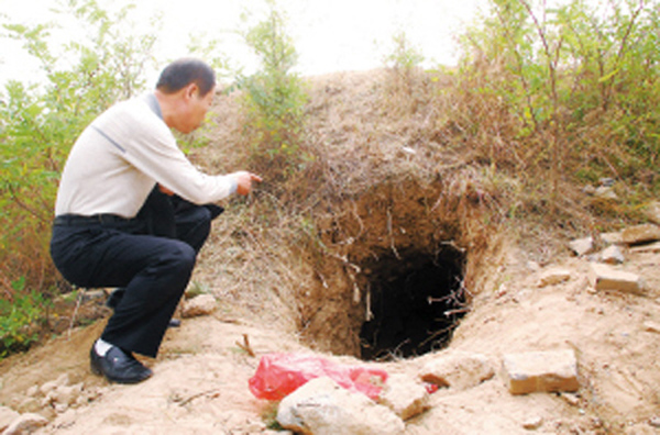 祖坟一年被盗3次，陕西老伯只能求助当地文物部门，专家：必须挖