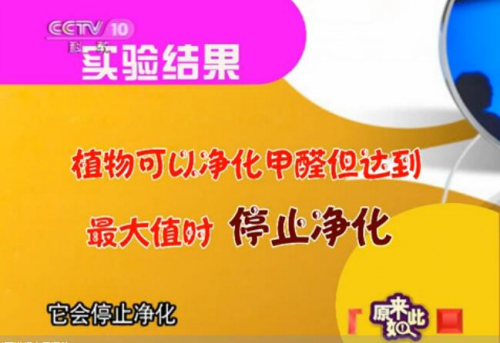 除甲醛加盟哪家好?步骤6