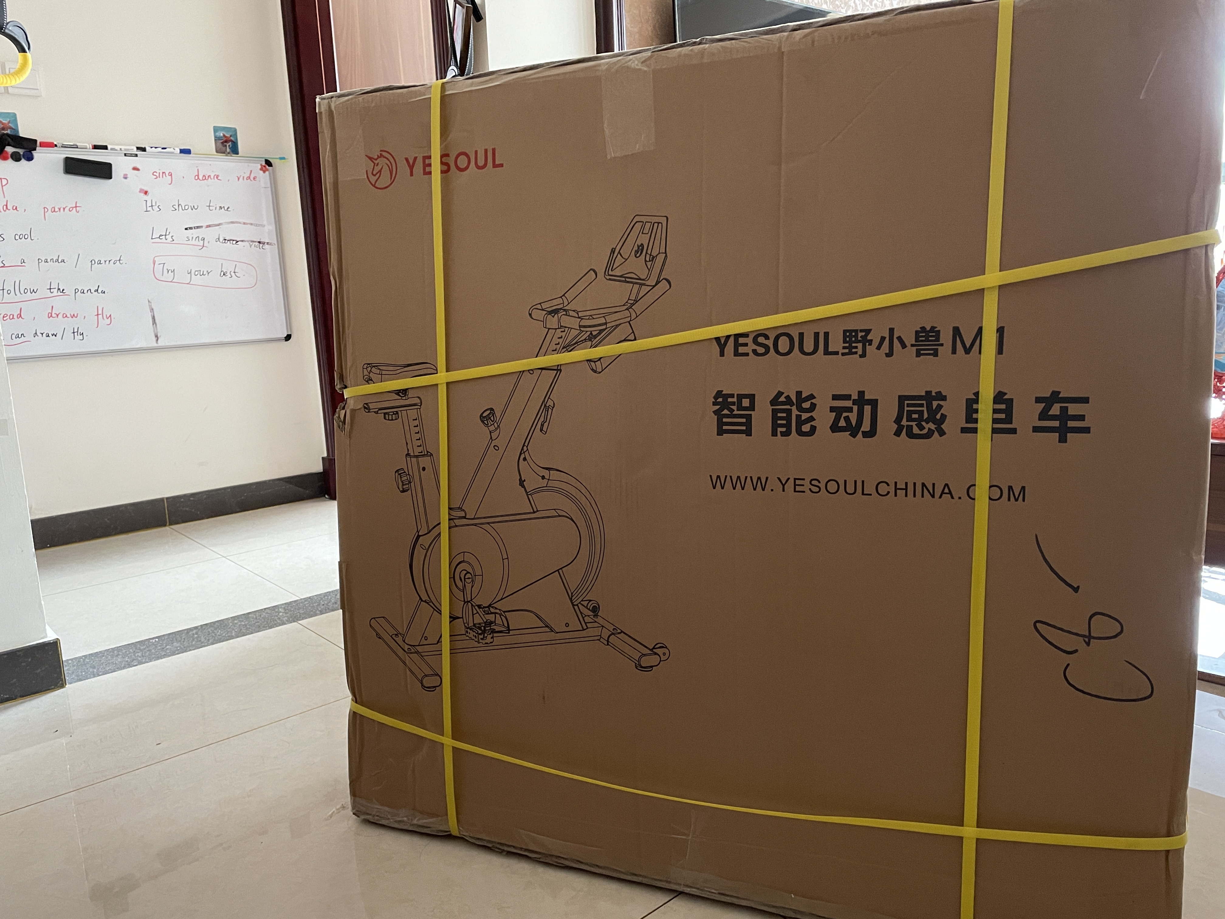 亲测野小兽动感单车M1，在家看球新装备，不愧是居家健身运动神器