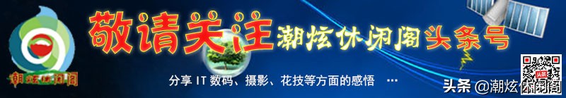系统注册表（初步认识Windows10操作系统注册表）