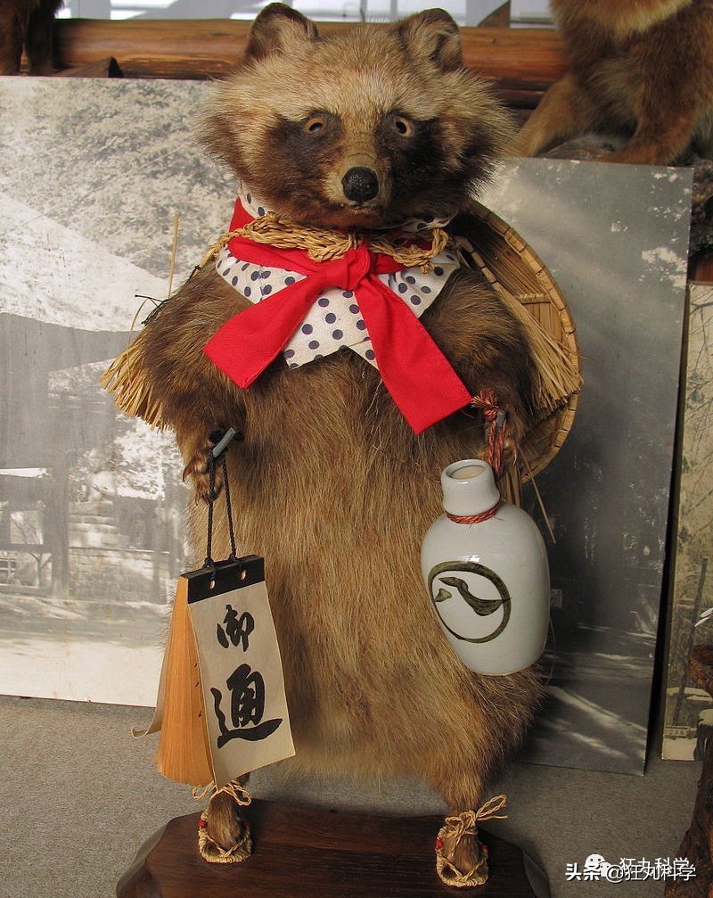 方便面上画得不是小浣熊？难怪一多半人分不清这些萌物