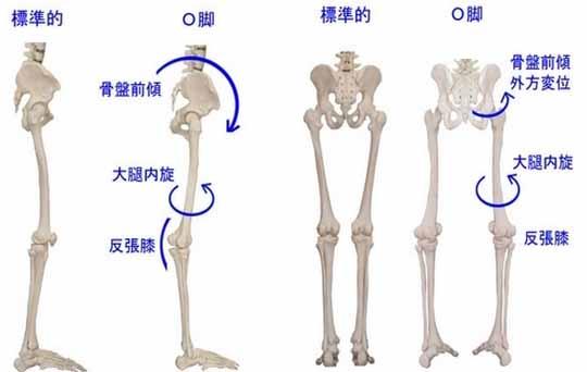 nba哪些球员髌骨软化（从丁彦雨航的康复过程，学习髌骨软骨软化的康复思路）