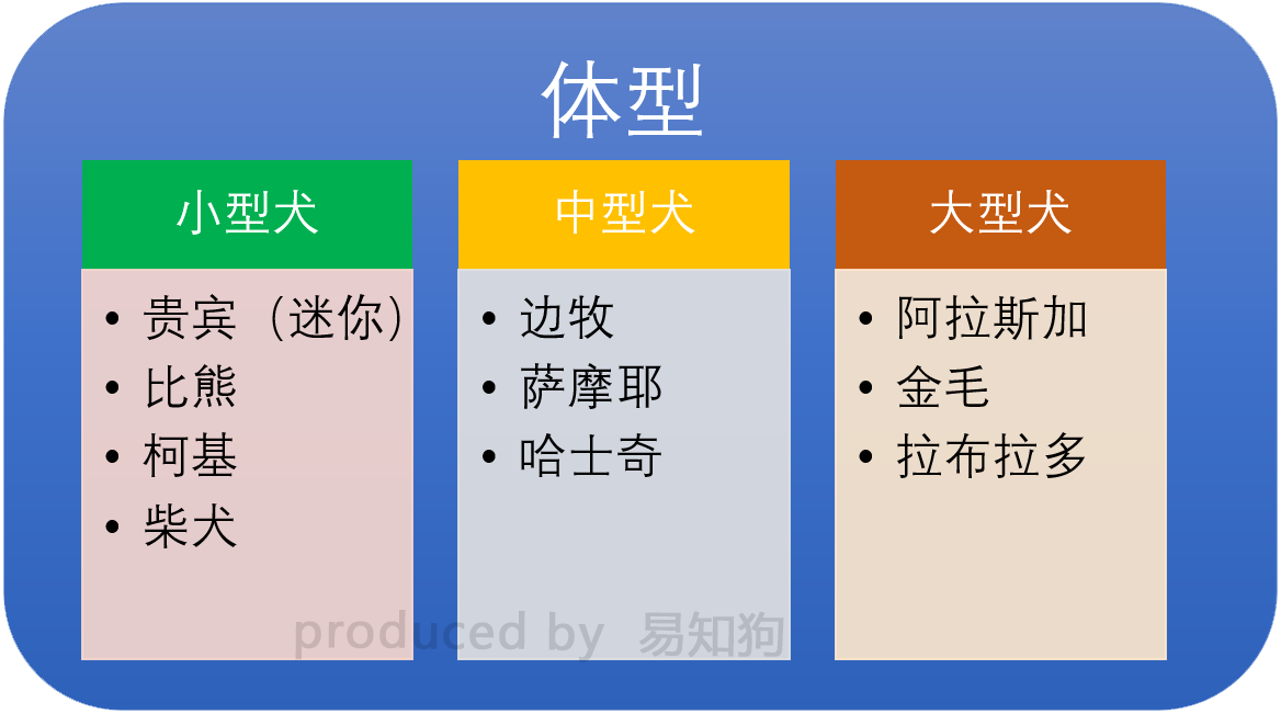 新手养狗必看：国内十大流行犬种横向对比