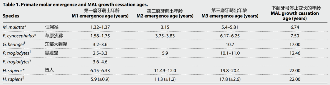 你为何20岁才长智齿？这可能是人类长寿的代价