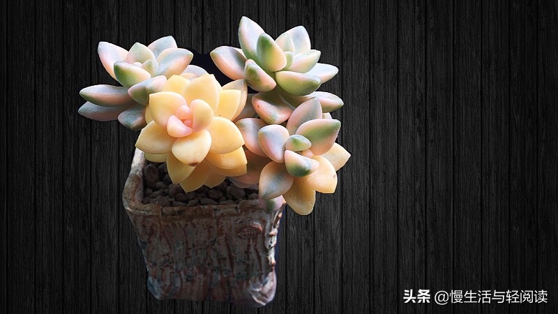 真的免费？5年9大板块5000字的期刊，真的免费