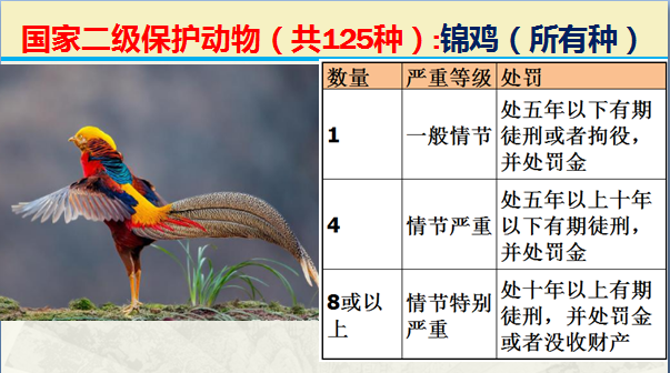 国家保护动物分几个等级（125类二级野生保护名录）