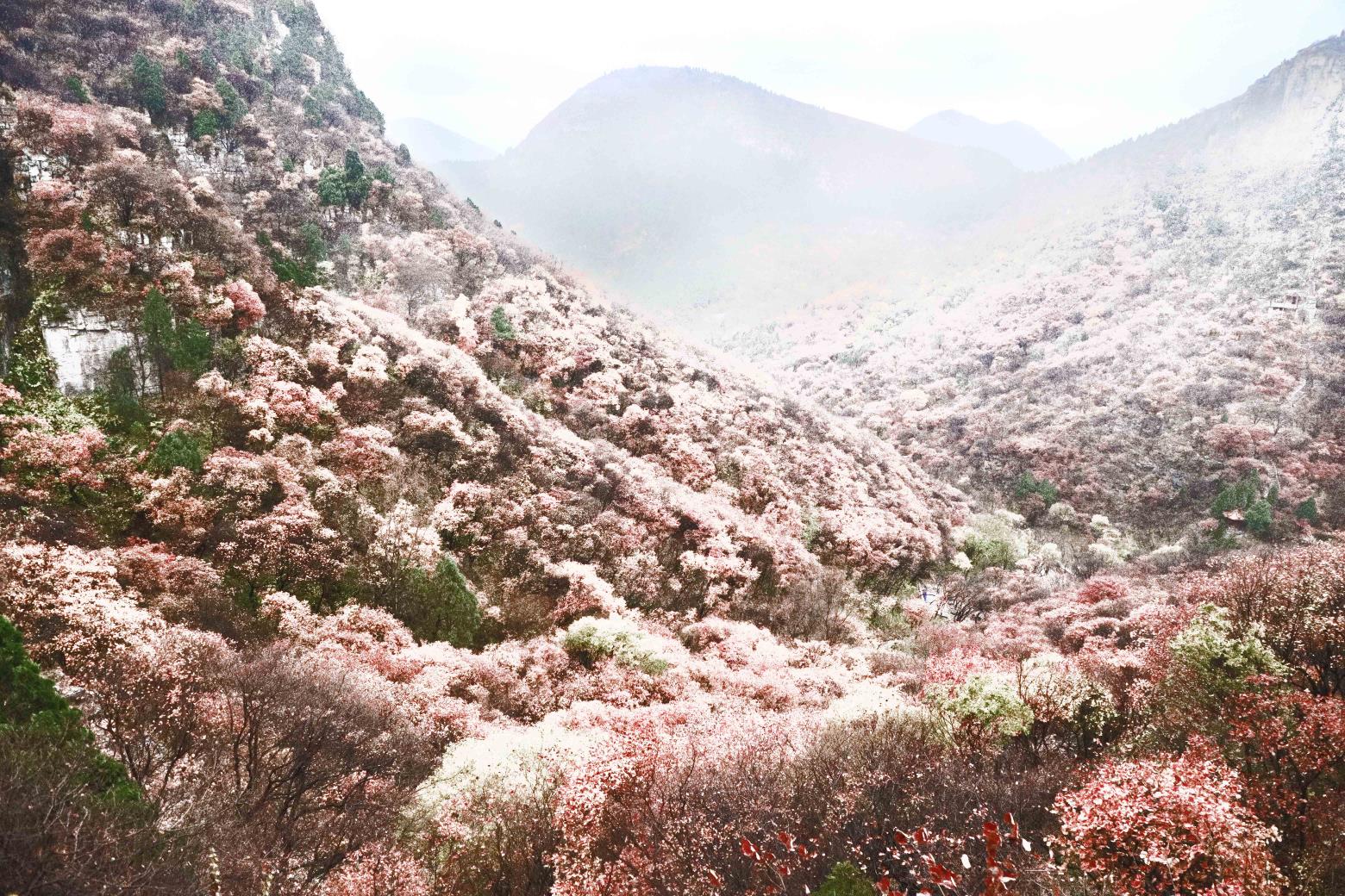 山东7市迎暴雪~雪后十大景点美爆，快来看