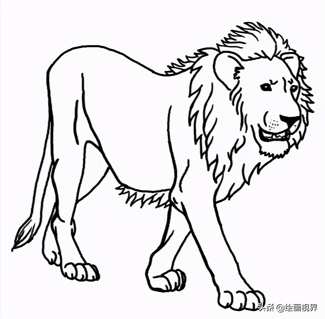画狮子很难？从线稿到造型教你画，非常适合初学者临摹学习，收藏