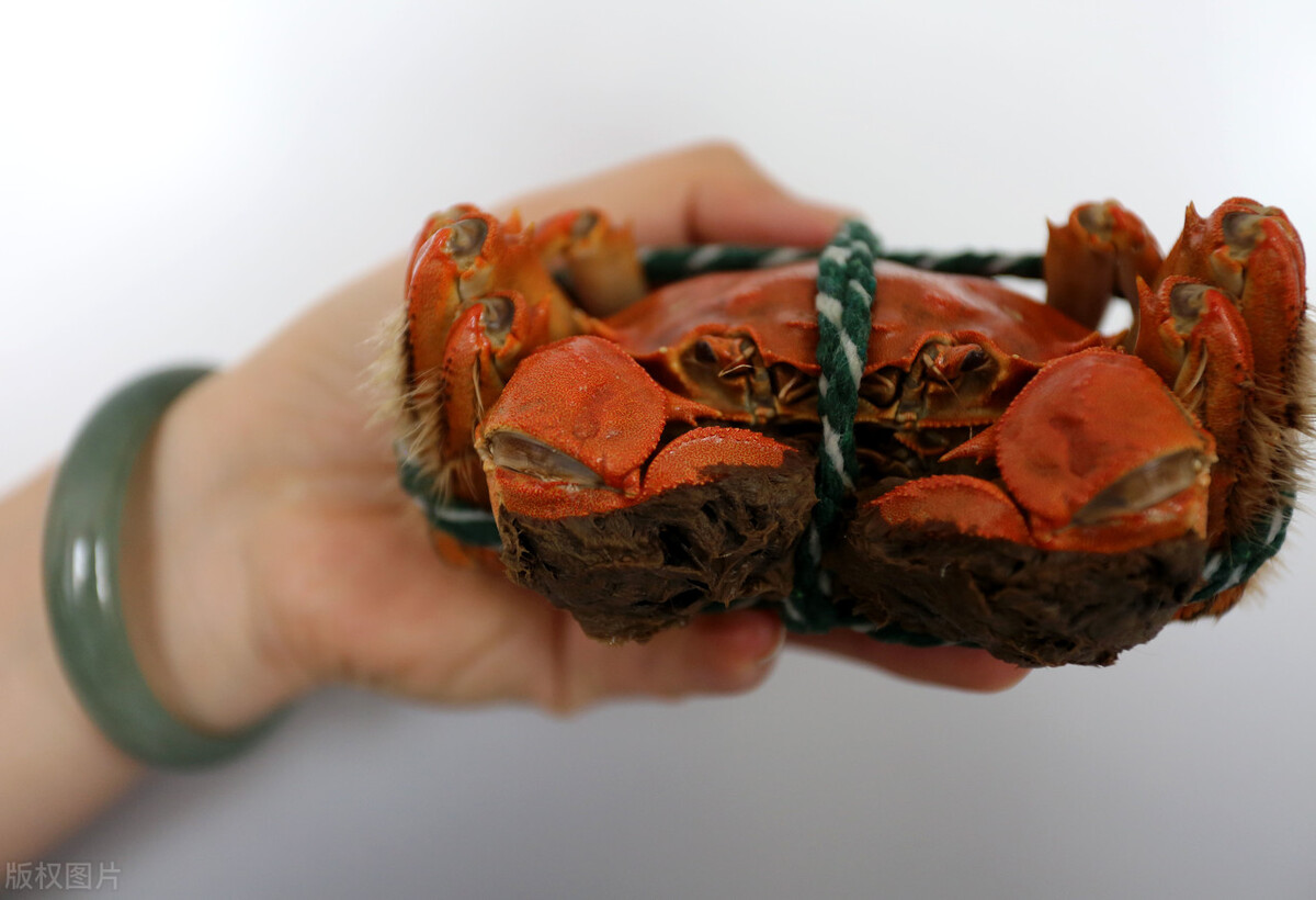 螃蟹怎么洗干净去内脏，步骤及图片详解？