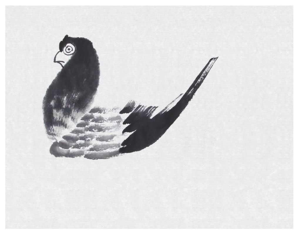 这样教你画鸽子，你好不会画？适合小白学习的鸽子画法，快来临摹