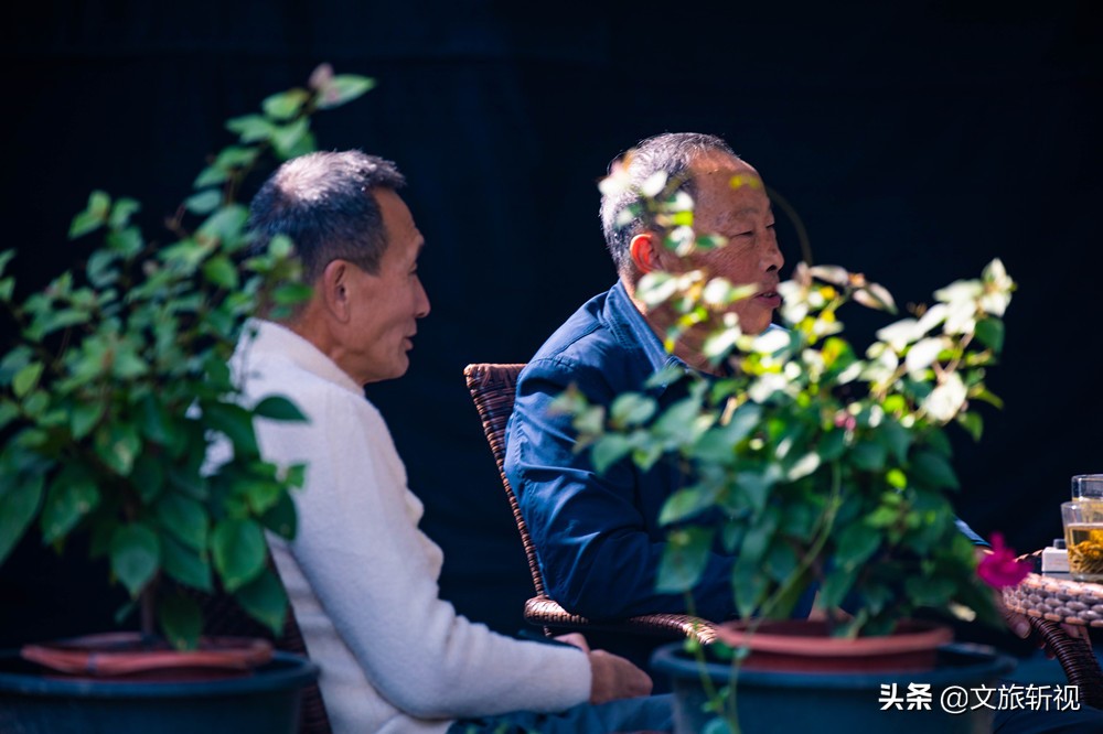 此刻，苏州城内，满城尽带桂花香