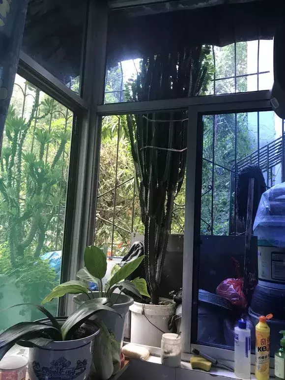 甲醛检测仪多少钱才有用步骤15