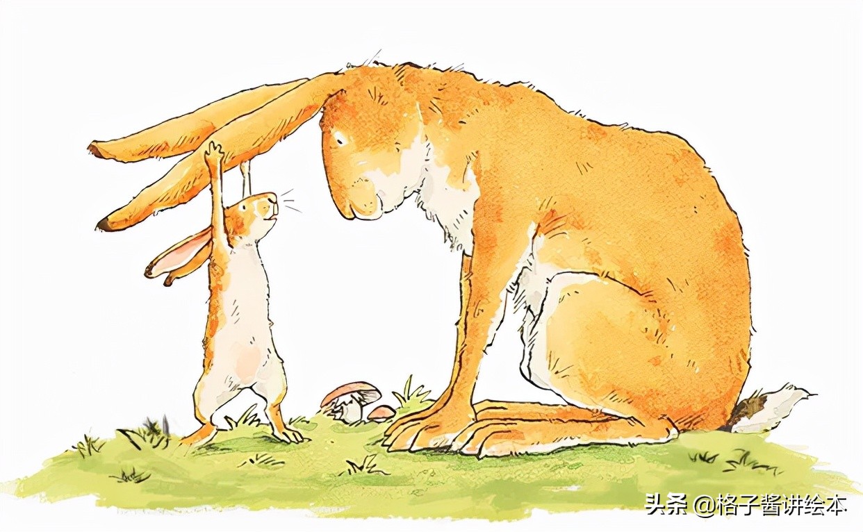 绘本故事推荐《猜猜我有多爱你》