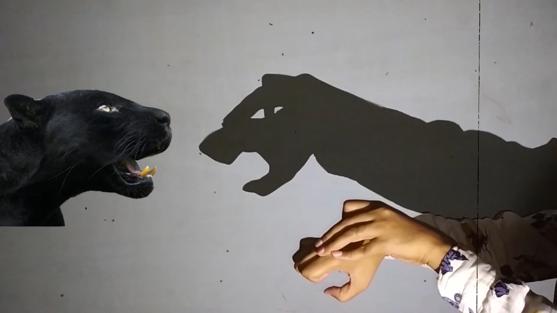 一只手的影子弄小动物图片