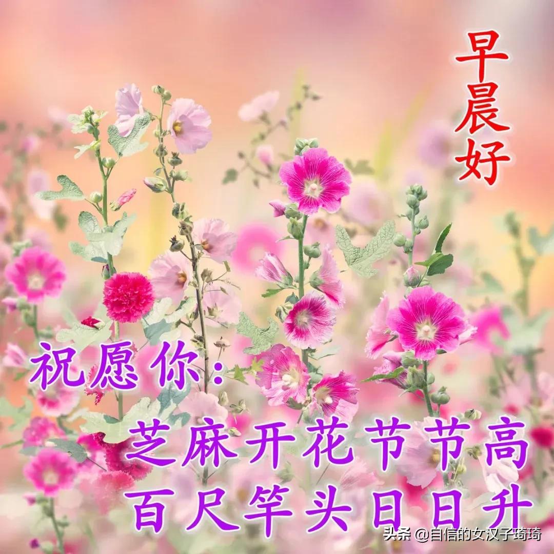 晚秋十月，愿你有衣暖身，有人暖心，不畏风霜，无惧忧伤。早安