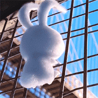 “八本来到异次元的小说”又无限还有单世界，组合一起带你飞