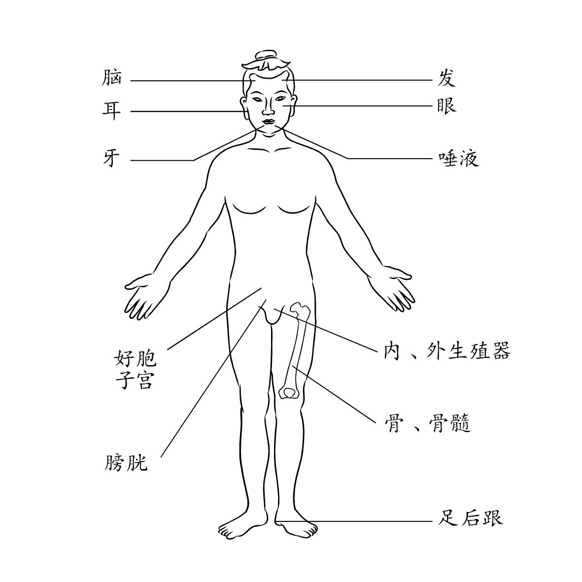 感觉身体被掏空(感觉身体被掏空了，是怎么回事？)