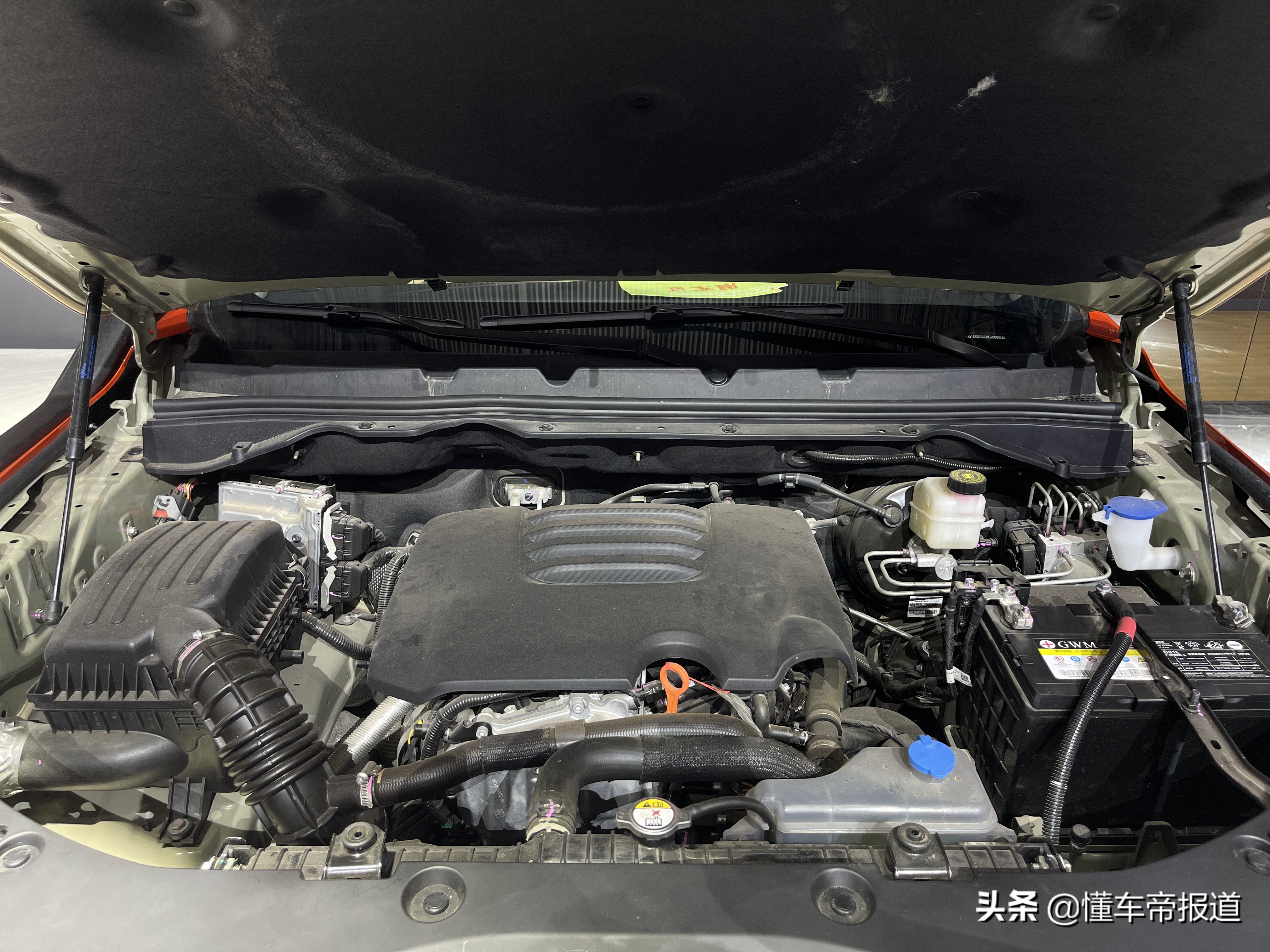 新车｜长城火炮领衔，多款新车上市！重庆车展热门车型盘点