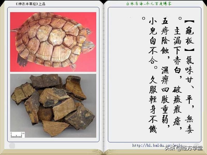 《神农本草经》全册图文解析 建议收藏