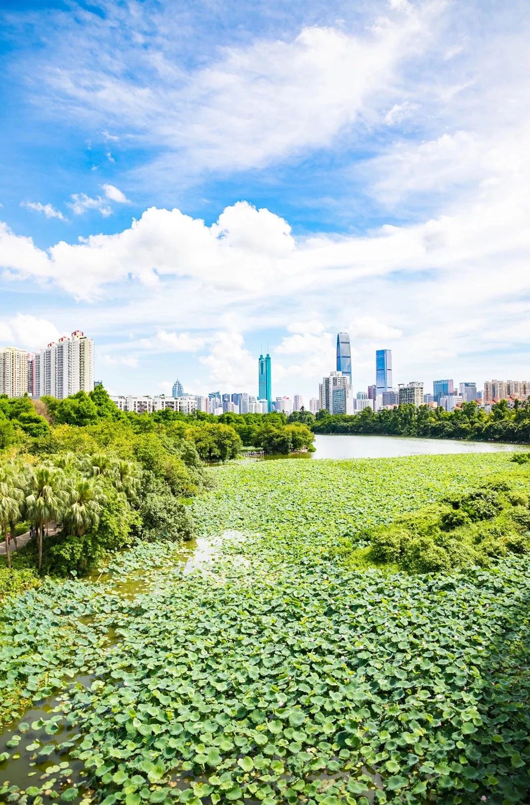 深圳宝安免费足球场(啊啊啊啊啊深圳7号线也太好玩了)