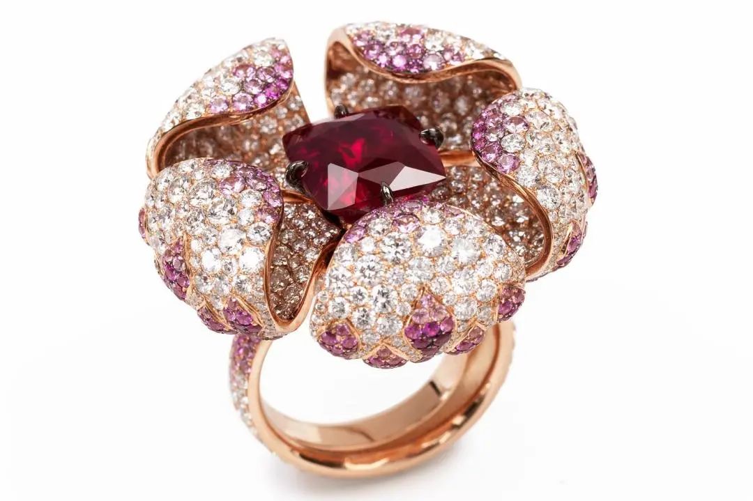 《沙丘》看完了，但这些指间的“隐秘”你真看懂了吗？