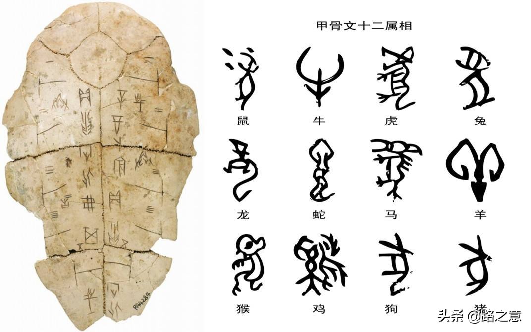 状元红酒的来历(状元红52度多少钱一瓶) 状元红酒的来历(状元红52度多少钱一瓶)