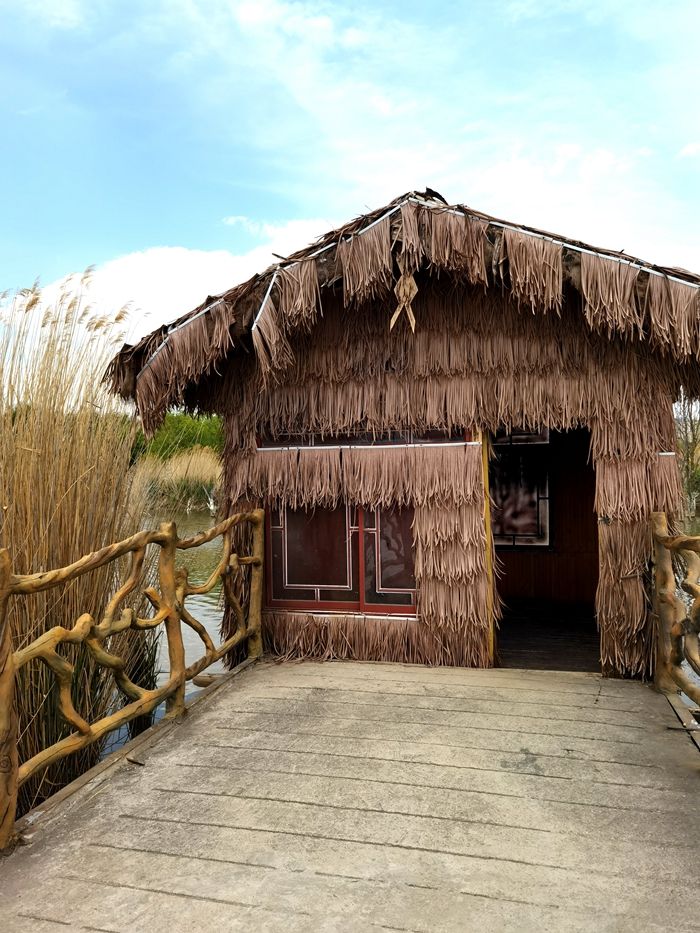 丽江拉市海，骑马走茶马古道，赏鸟走观湖长廊