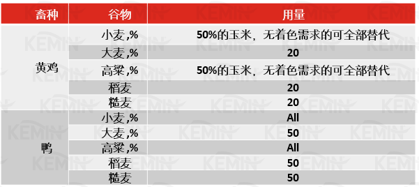 市场玉米主流替代方案分析