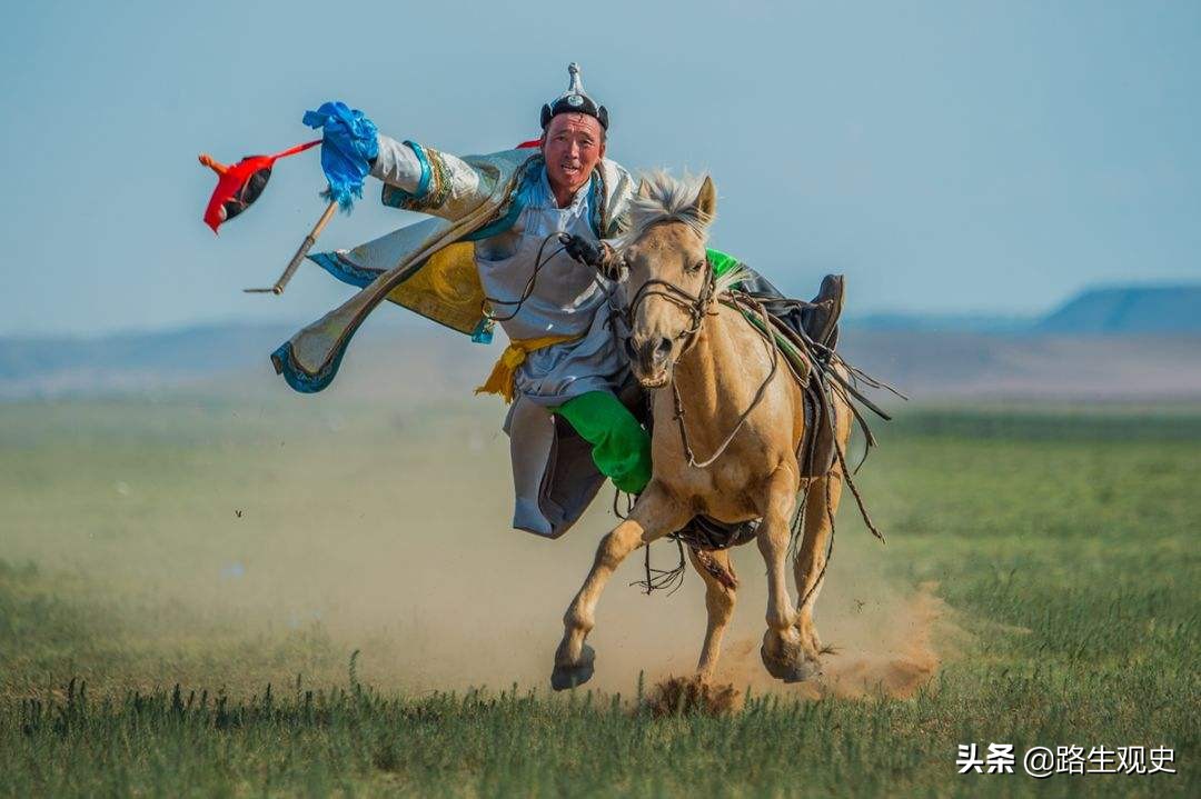 蒙古马(蒙古马是一种什么马？体形矮小其貌不扬，在战场上却能打胜仗)