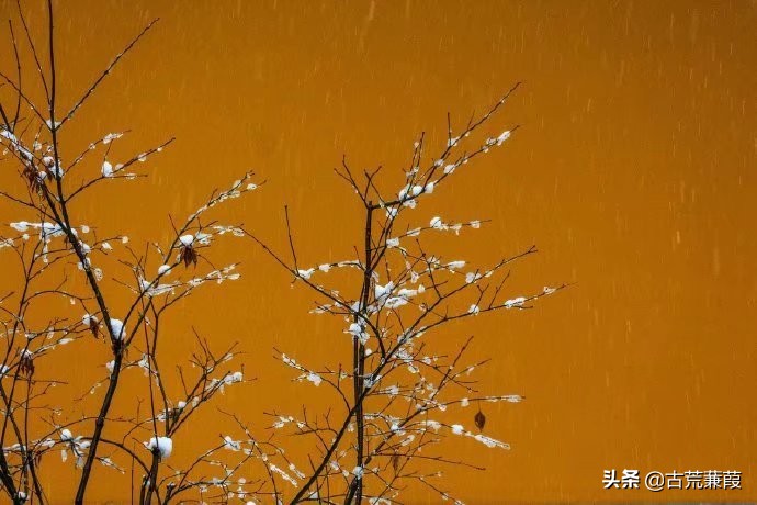 雪落冬深叶凋零，时光微暖梦不成