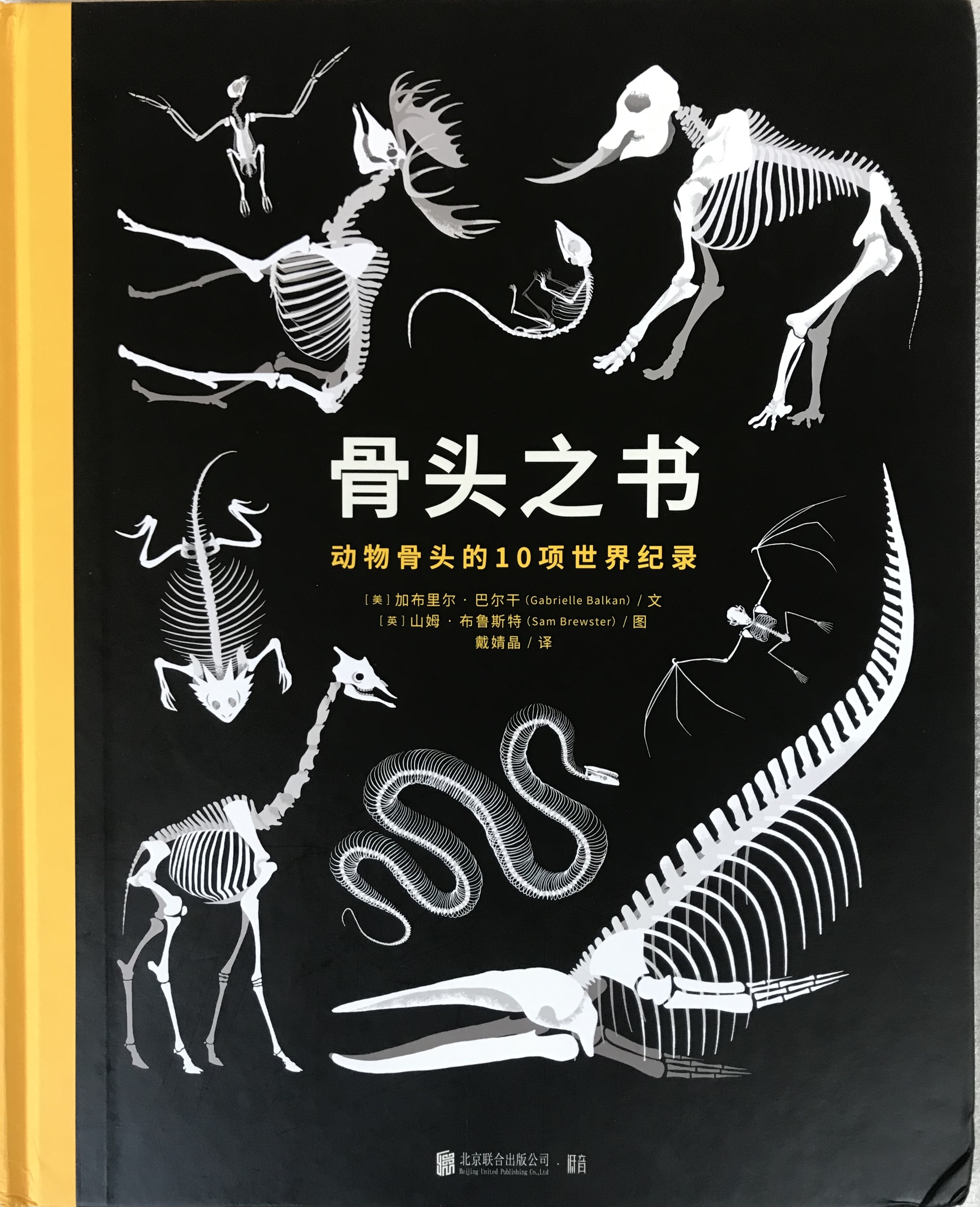 镫字读音及神奇含义解析：探索镫字的发音规律与文化内涵，揭示其在古代交通工具中的重要作用。