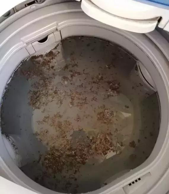 滚(gun)筒洗衣机柔顺剂放(fang)在哪儿（海尔滚筒洗衣机三(san)个槽图解）-第18张图片-昕阳网(wang)