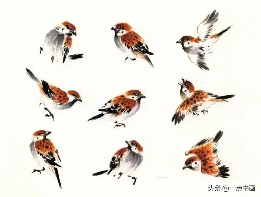 一学就会画——小写意禽鸟画法