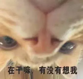 Word里表格的那些事儿(word内的表格)