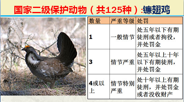 国家保护动物分几个等级（125类二级野生保护名录）