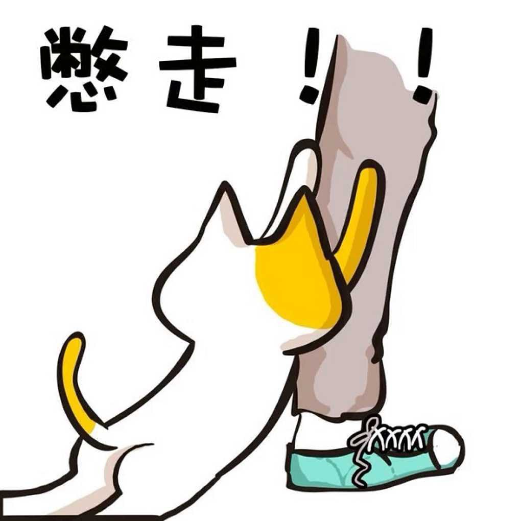 白羊座属虎白羊座属虎男的性格