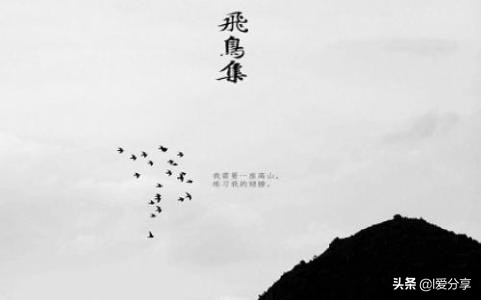 “错误经不起失败，但是真理却不怕失败”，泰戈尔和《飞鸟集》