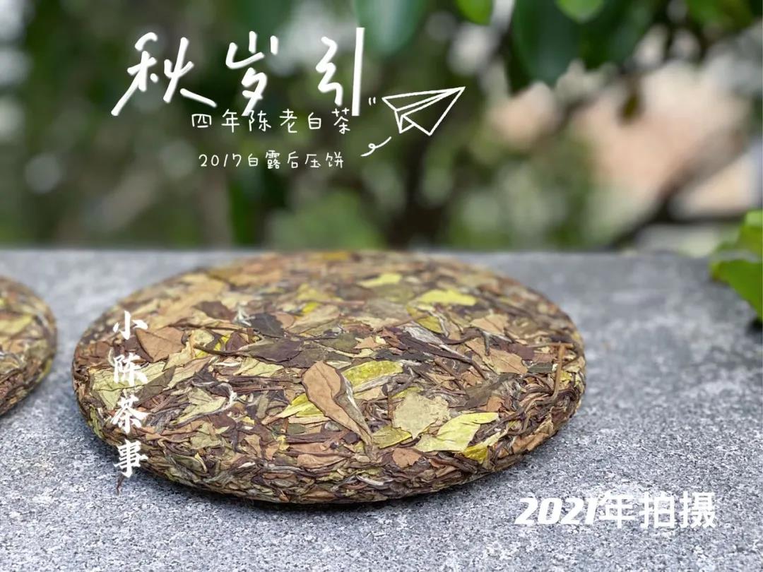 洗茶、闷泡、悬壶高冲，看过5点细节，带你告别错误的白茶冲泡法