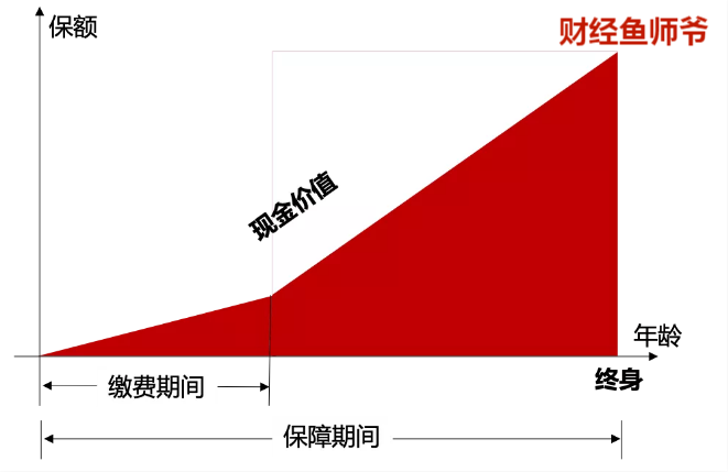 寿险包括,寿险包括哪些险种