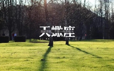永不言弃，永不言败的星座，不服输，不认输，越挫越勇，人生赢家