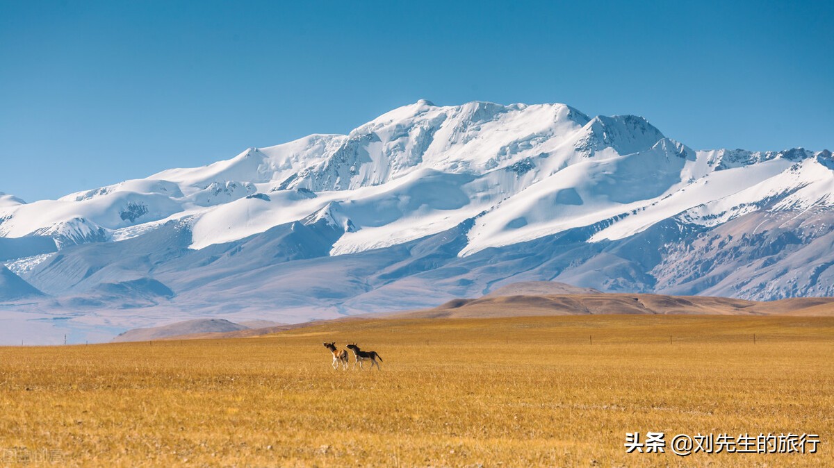 西藏极致之行阿里大北线环线13晚14日