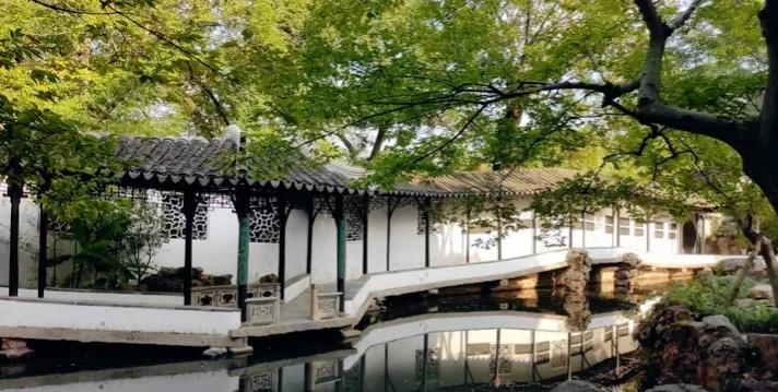 江苏旅游第一站——苏州园林之拙政园，中国古典园林的代表